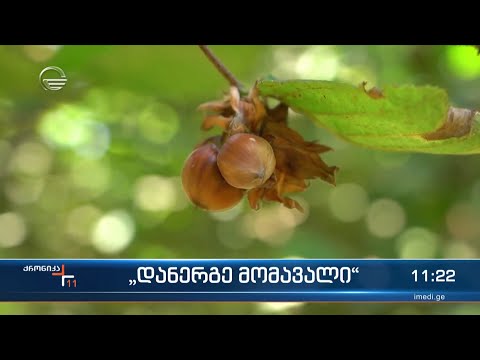 „დანერგე მომავალი“